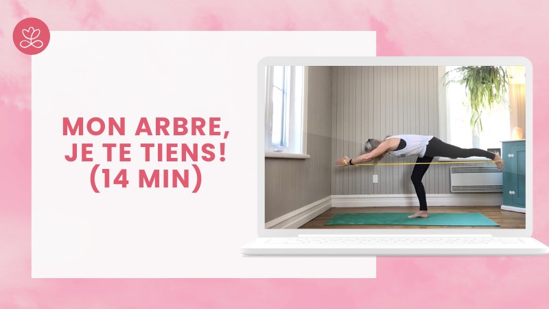 2.1 Mon arbre, je te tiens! (14 min)